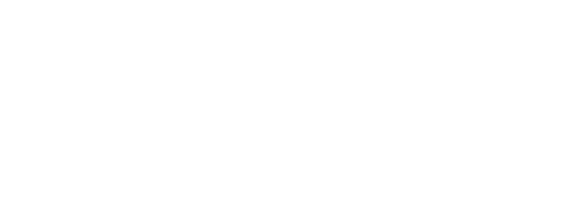 Logo ngang Lyns Media - Launching Your New Success